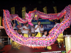 *Chinese Dragon Dance